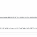 Screen Shot 2026-01-05 at 12.56.00 PM.png